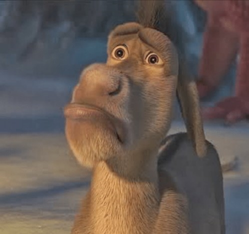 sad donkey from Shrek